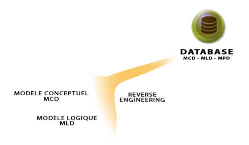 DATABASE-Module DATABASE-Module